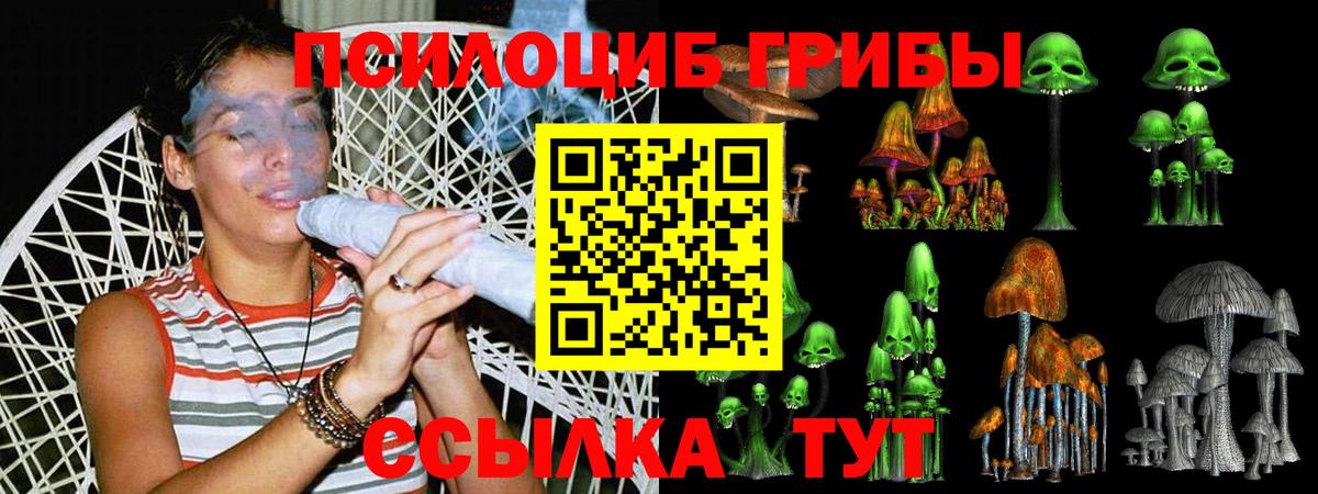 Псилоцибиновые грибы мухоморы  Вход с VPN  Псилоцибиновые грибы Magic Shrooms  Белореченск 