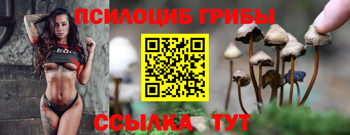 Галлюциногенные грибы GOLDEN TEACHER Белореченск